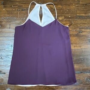 Express Purple and Pink Chiffon Halter Double Layered Tank Top size S